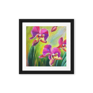 Lovely Summer Orchids Framed canvas