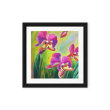 Lovely Summer Orchids Framed canvas