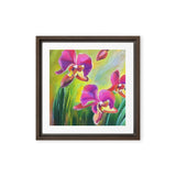 Lovely Summer Orchids Framed canvas