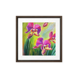 Lovely Summer Orchids Framed canvas