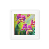 Lovely Summer Orchids Framed canvas