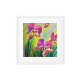 Lovely Summer Orchids Framed canvas